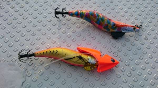 明石船アオリ】ダートマックス実績カラーご紹介 | フィッシング