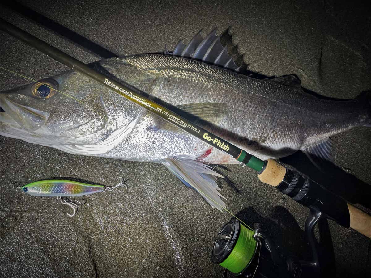 GO-PHISH The River & Surf Plugging 90S DPS Rods buy at Fishingshop