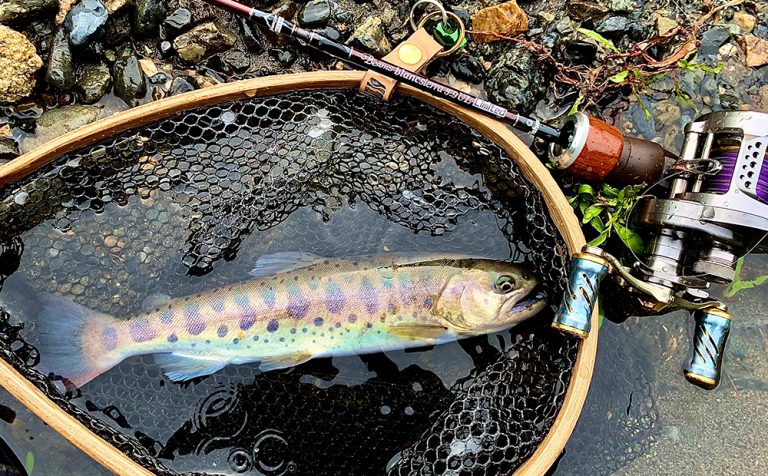 Fishman ロッドで渓流釣りを一緒に楽しみましょう！ - Fishman