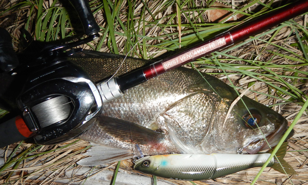 BRIST VENDAVAL10.1Mでビックベイトゲーム - Fishman（フィッシュマン）