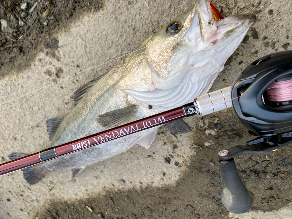 BRIST VENDAVAL10.1Mで、デイ＆ナイトゲームシーバス！ - Fishman