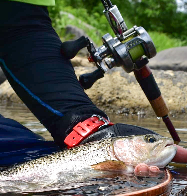 ライトルアーがぶっ飛び、バイトを絡めとる『Beams LOWER8.6L