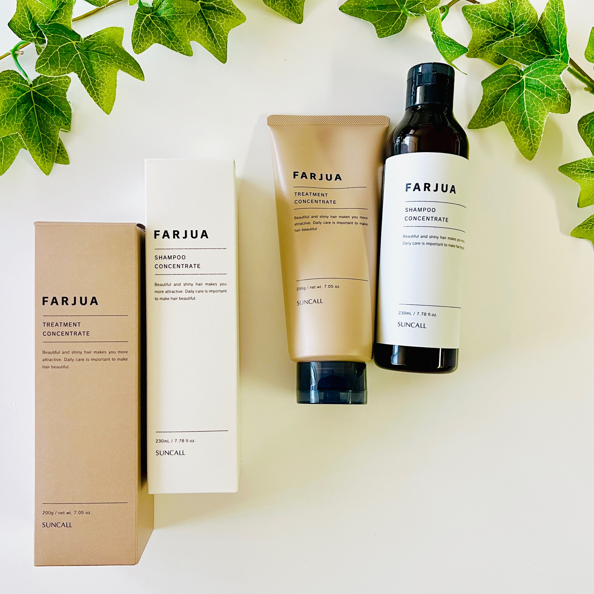 サンコール / ファルジュア シャンプー コンセントレート