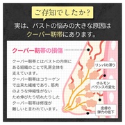 LEXY L'AMOUR / レクシーラムーア バストケアクリーム 100gの公式商品