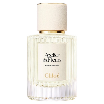 クロエ / クロエ アトリエ デ フルール ハーバ ミモザ