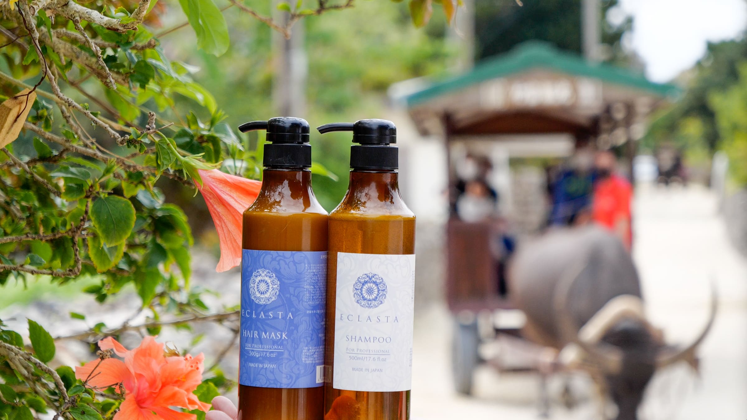 ETS-10 エクラスタシャンプー 500ml&ヘアマスク500gセット – 株式会社