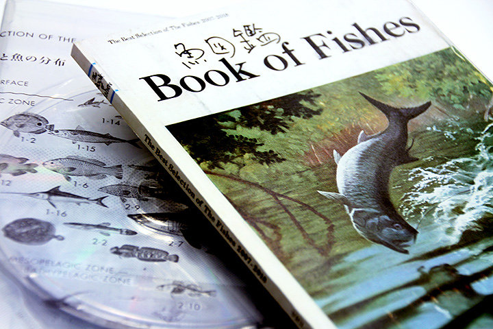 サカナクションのベスト盤『魚図鑑』 魚の専門書風アートワーク公開