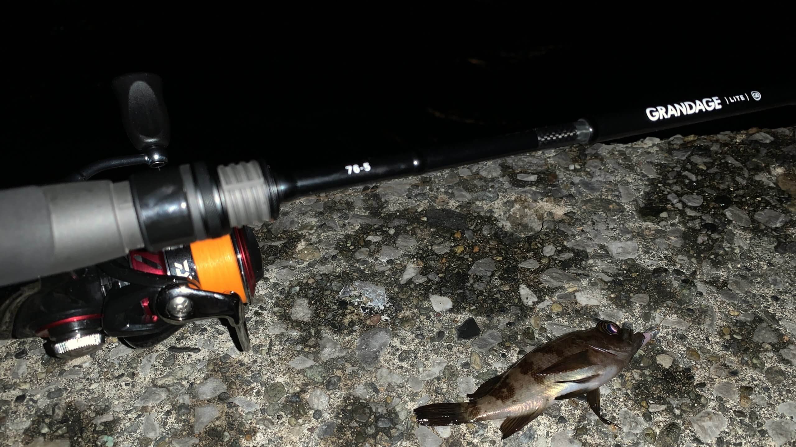 超軽量パックロッド！ APIA GRANDAGE LITE 76/5【購入後インプレ