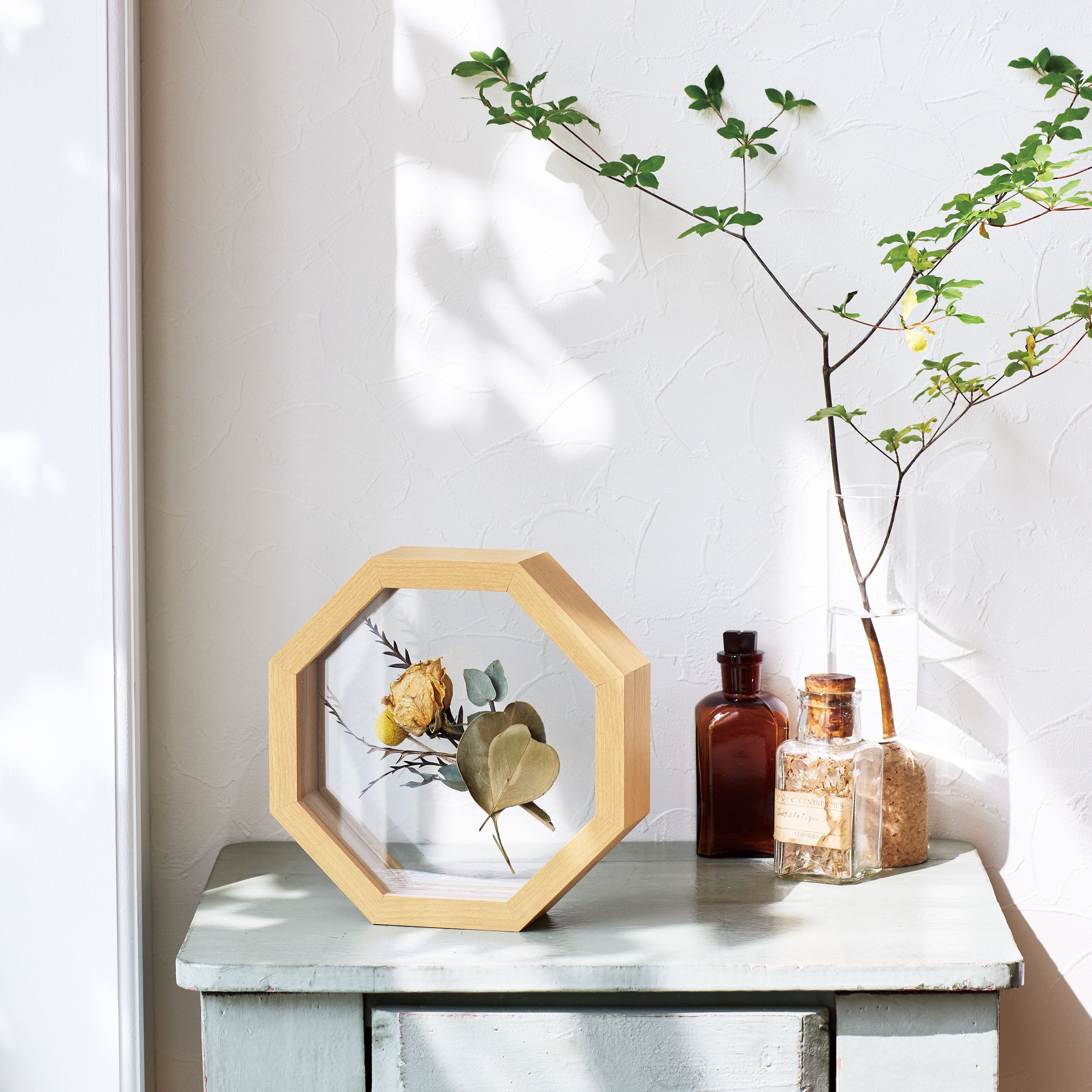 インテリアにおすすめ！標本フレームみたいな【herbier (八角形