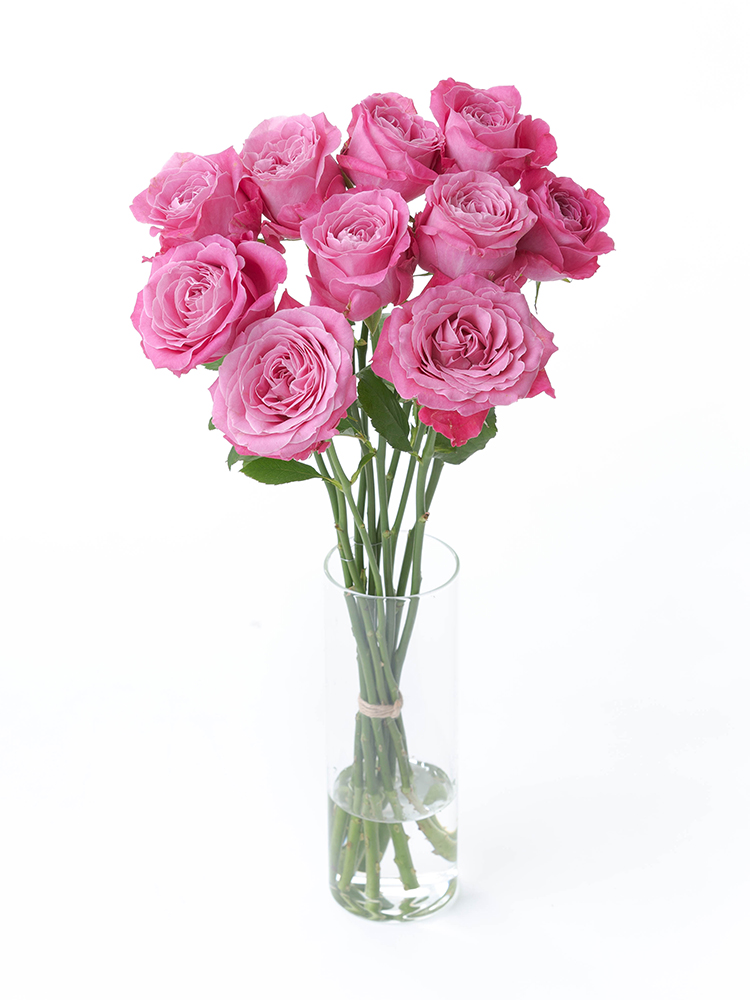 生花】バラ オール4ラブ＋【ピンク/60cm/愛知県】｜Flower Smith