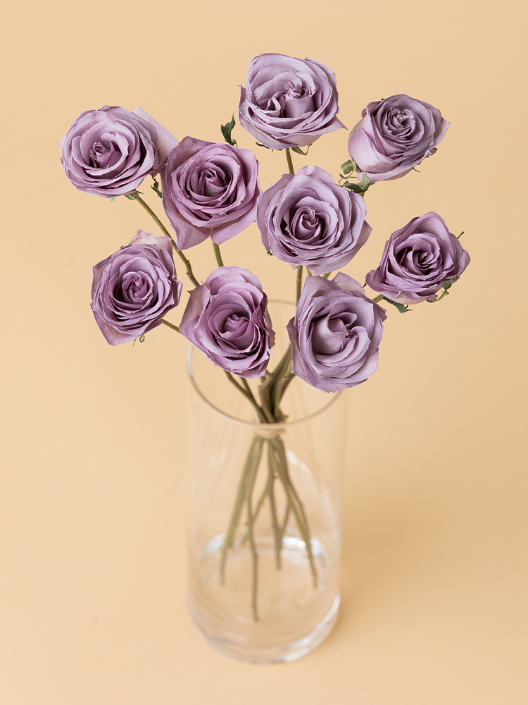 高級ドライ】バラ オーシャンソング【薄紫/50cm】｜Flower Smith