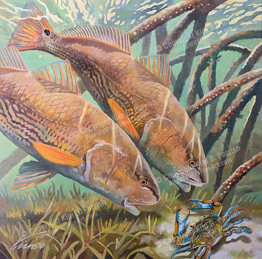 Redfish Painting | 36x36