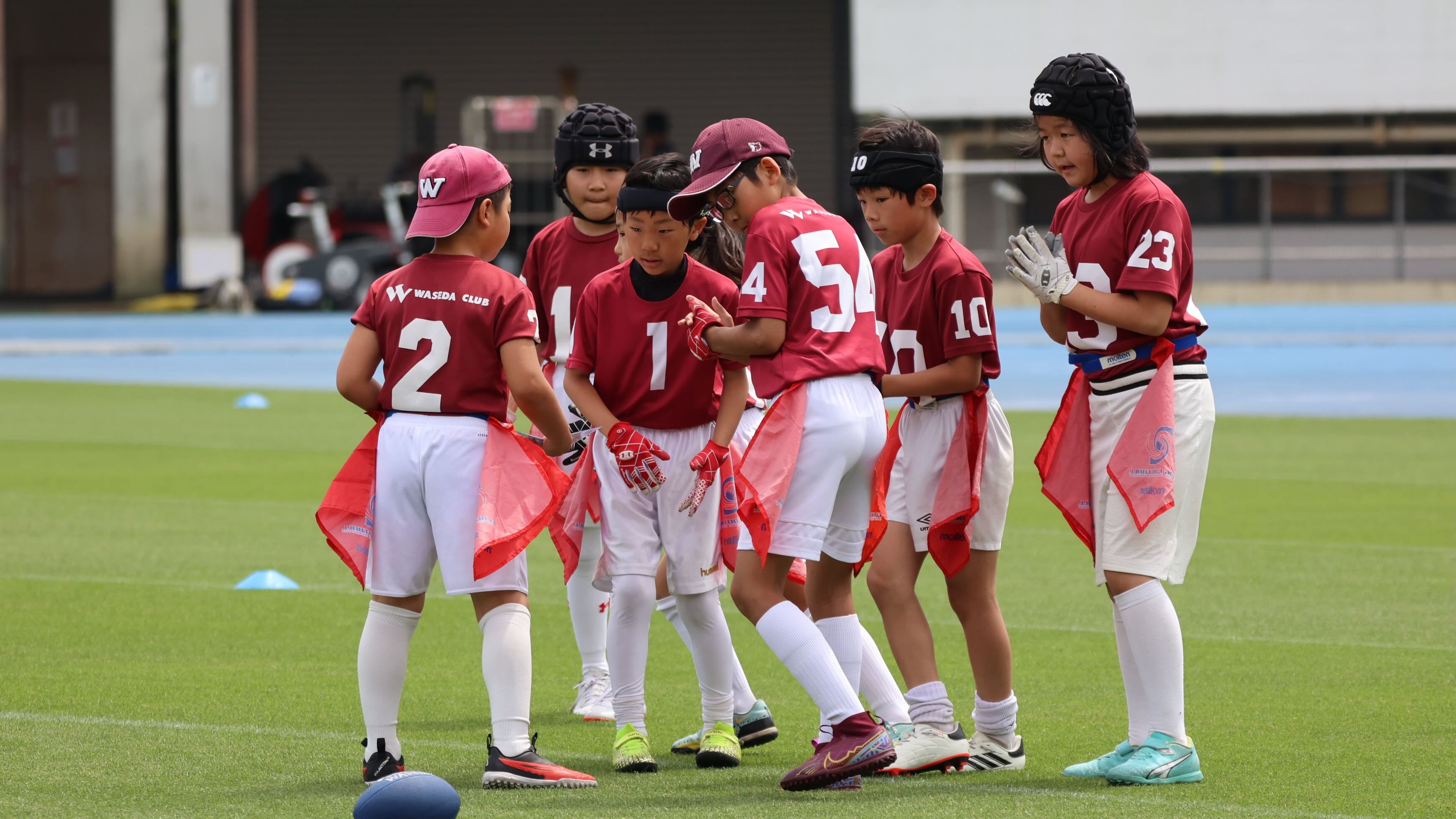 フラッグフットボール | ワセダクラブ | Waseda Teddy Bears