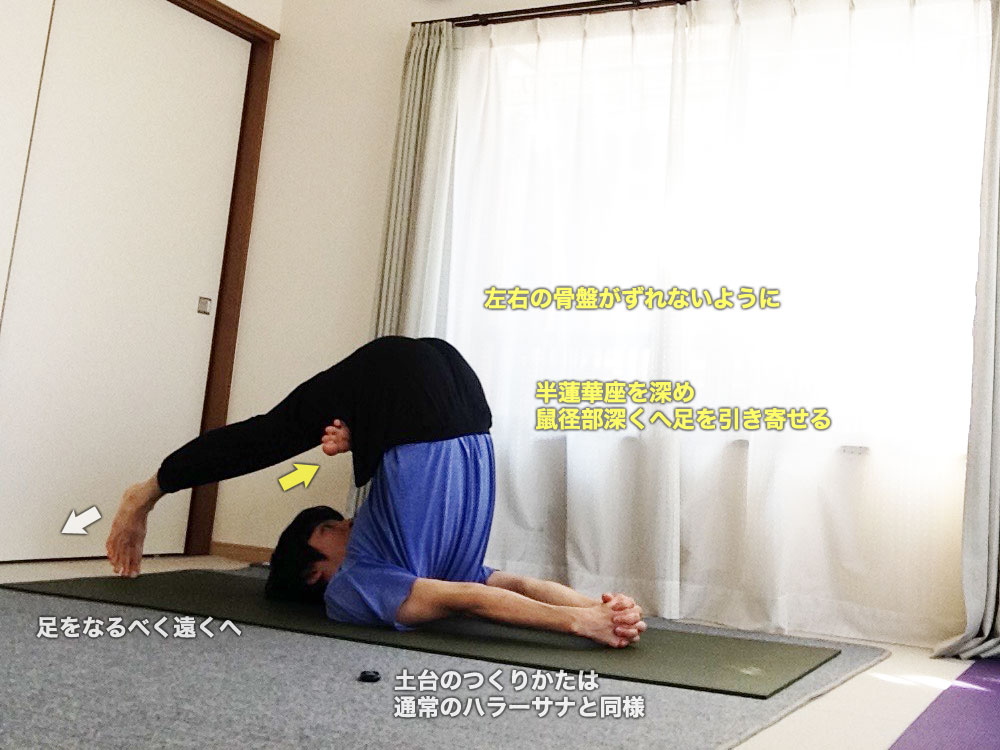 アルダパドマハラーサナ（半蓮華座を組んだ鋤のポーズ）の効果と