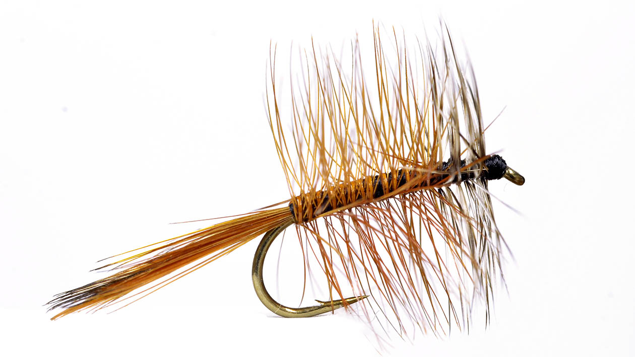 フライ】ハックルの基礎知識 | ARTICLES | FlyFisher ONLINE フライ