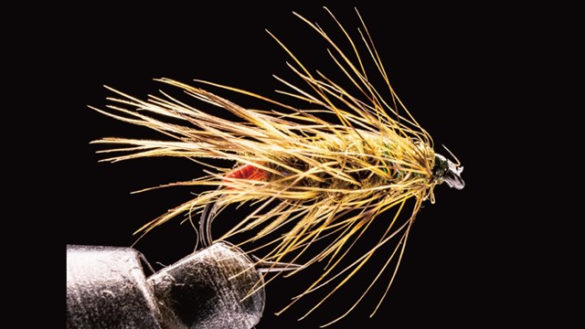 加賀フィッシングエリア爆釣フライインタビュー | ARTICLES