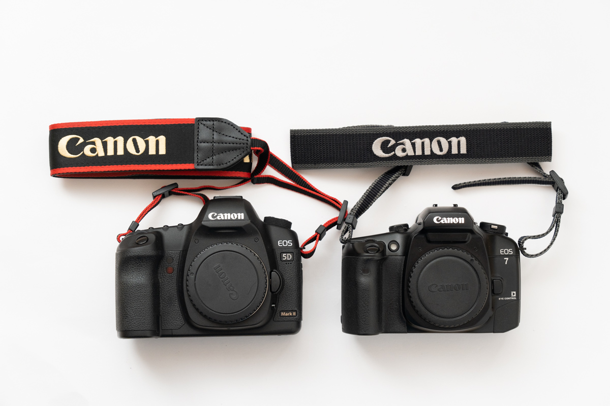 フィルムカメラに同時代Canon純正ネックストラップL3がぴったり！EOS7