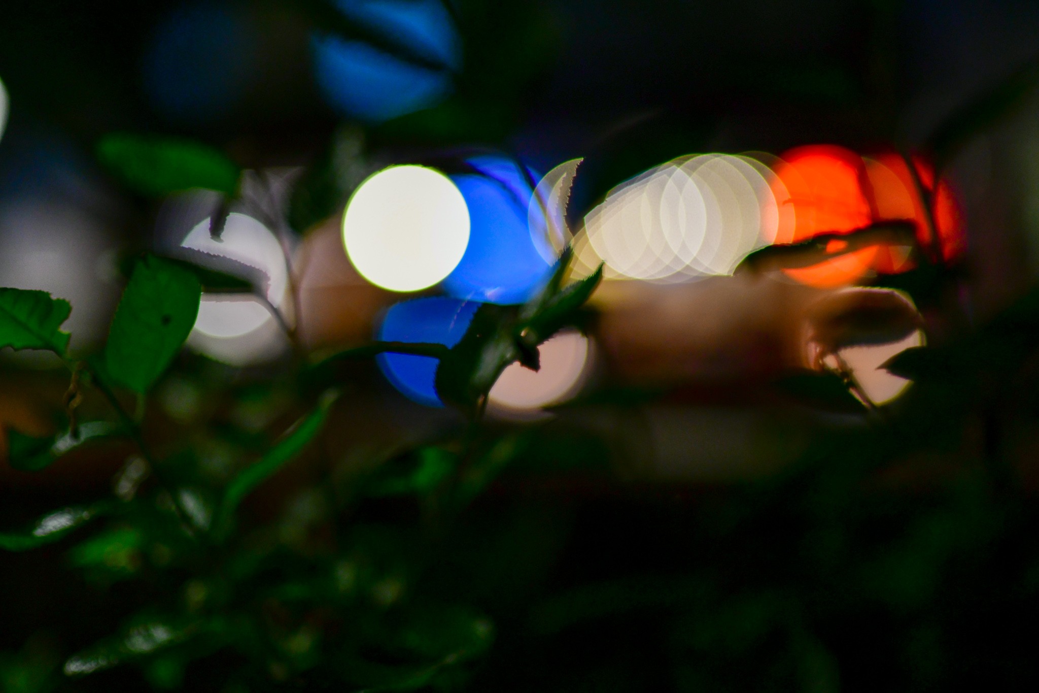 ポートレートの銘玉「AI AF Nikkor 85mm f1.4D (IF)」は抜群のスナップ