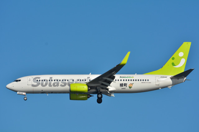 綾ユネスコ エコパーク号」特別塗装機 ソラシド エア (737-800