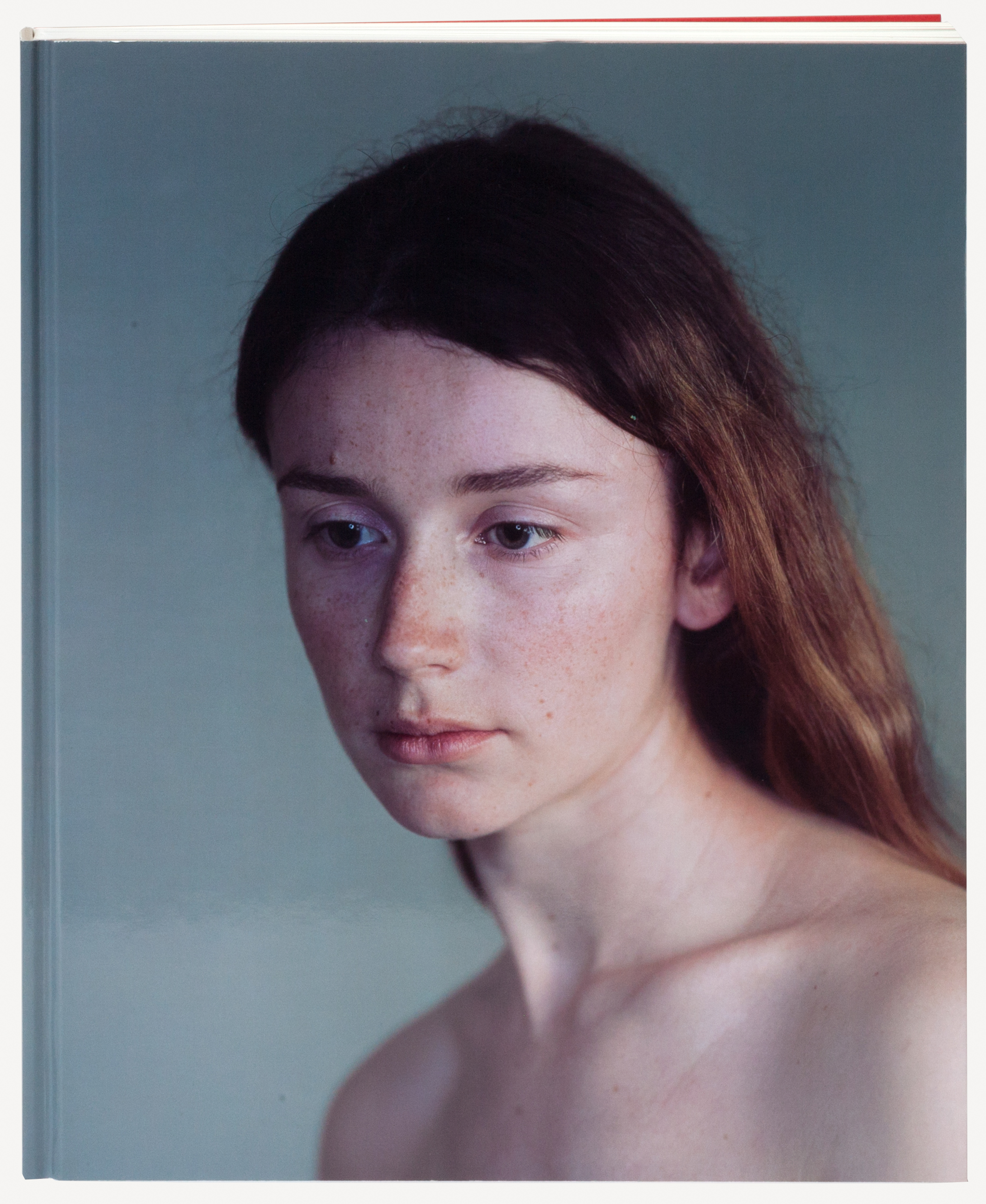 Richard Learoyd: Day for Night | Fraenkel Gallery