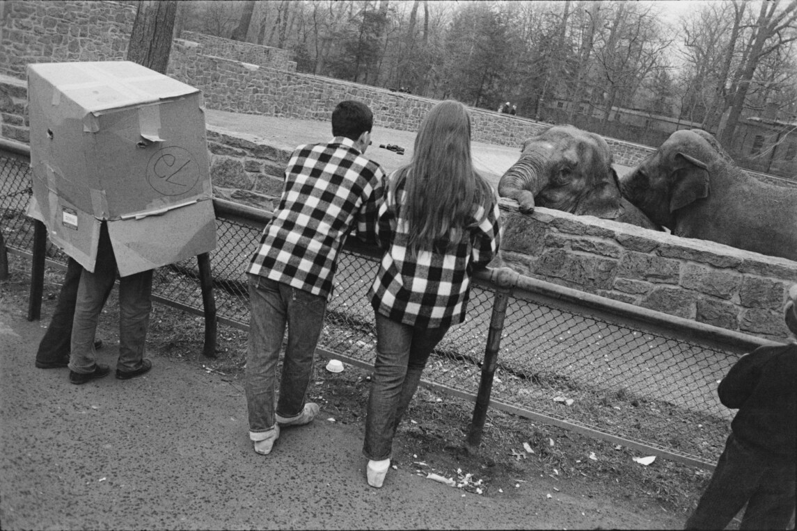Garry Winogrand: The Animals | Fraenkel Gallery