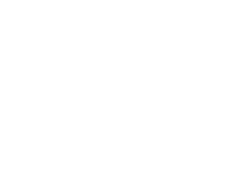 Nikoん New Album「fragile Report」特設サイト