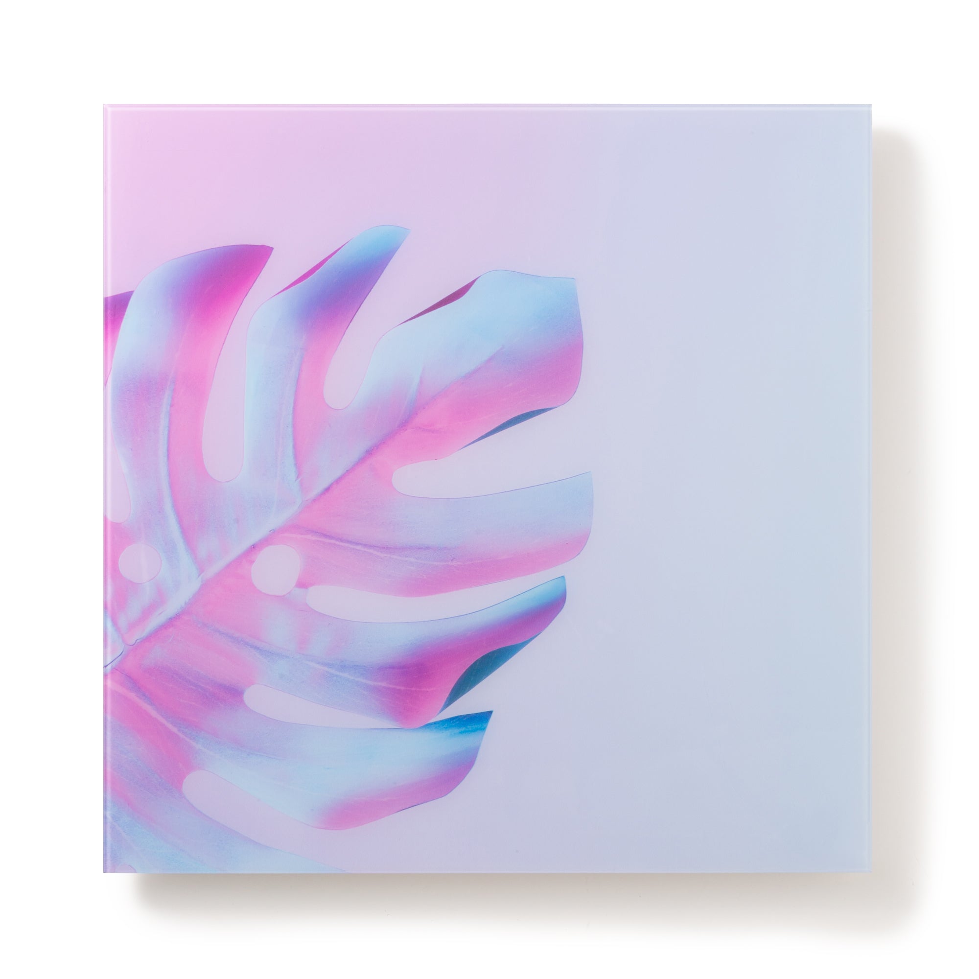 1111100053106_A_2000x.jpg?v=