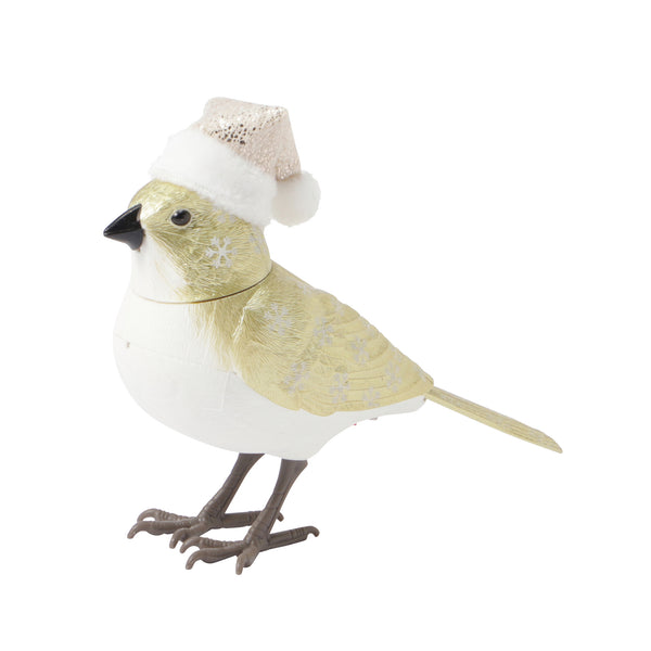 ミュージックバード ゴールド | Francfranc（フランフラン）公式通販