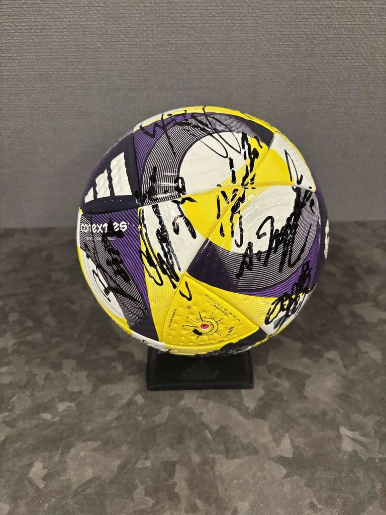 2017年公式試合球 ヴィッセル神戸全選手サインボール 2017年公式試合球