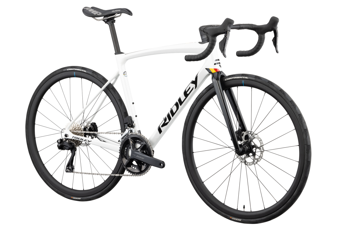 リドレーの歴史的ベストセラーエンデュランスロード「フェニックス