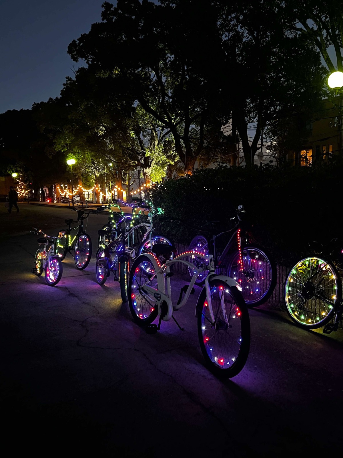 光る自転車がイルミネーション彩る夜の和歌山を駆け抜ける｜LIGHT