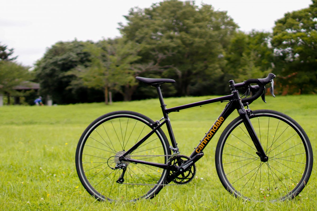 ワイズロード限定オリジナルカラー「CAAD OPTIMO」8月2日より発売決定