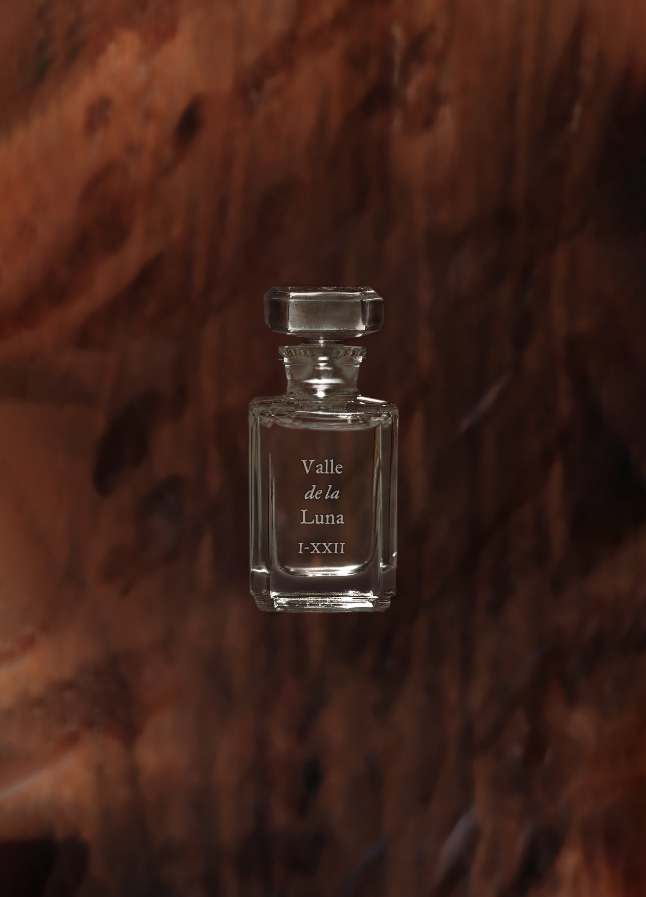 FUEGUIA 1833 | Valle de la Luna｜バジェ デ ラ ルナ – FUEGUIA 1833