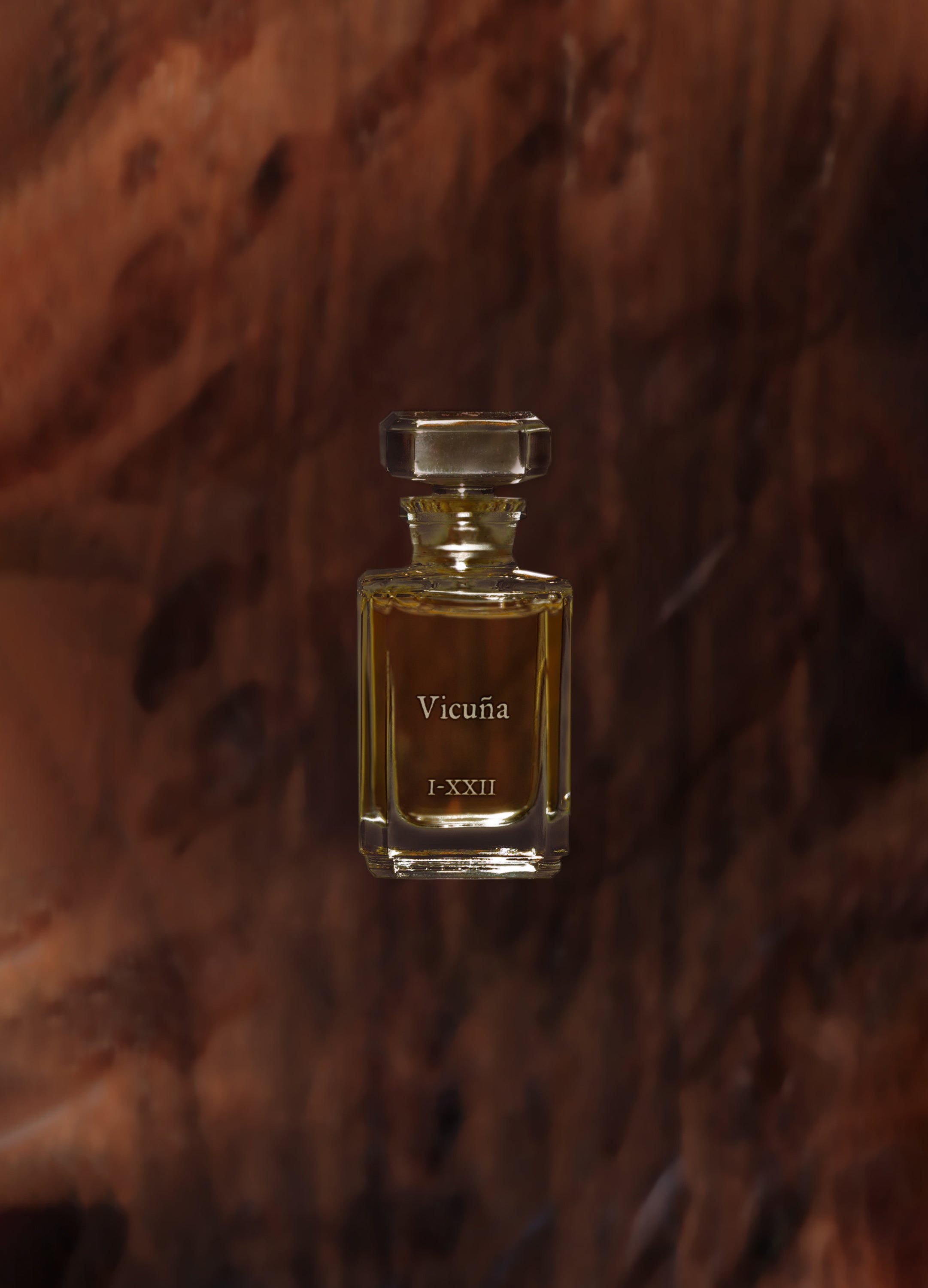 FUEGUIA 1833 | Vicuña｜ビクーニャ – FUEGUIA 1833 Japan Online