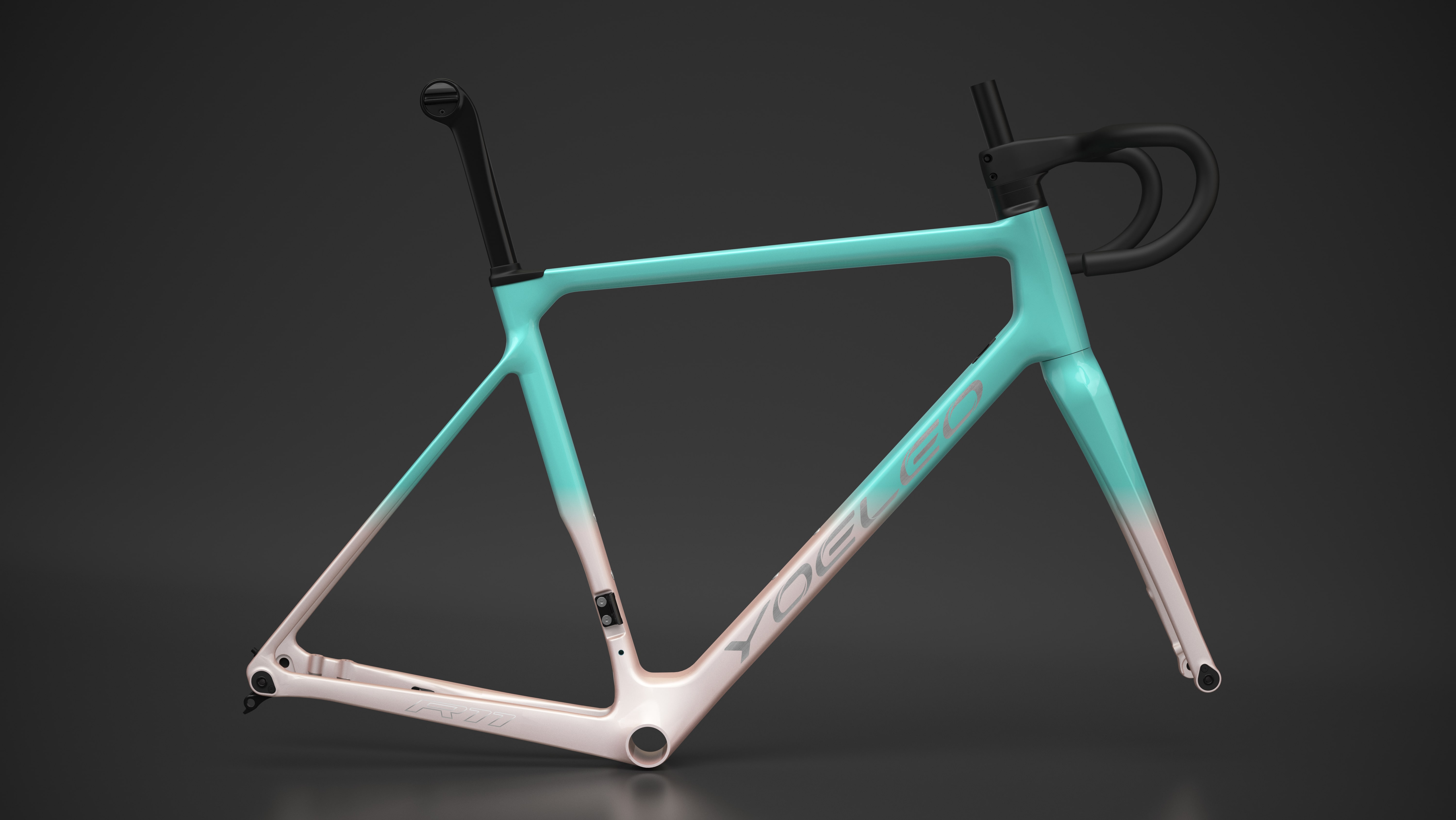 フジスポーツジャパン YOELEO(ヨーレオ) R11日本販売店