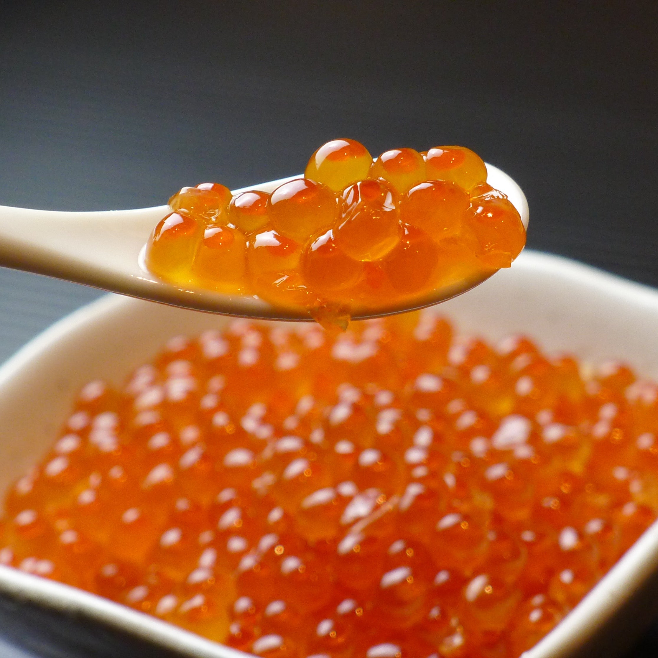 いくら・鮭の取り寄せ 北海道直送 ｜ 鮭匠ふじい – 藤井水産公式