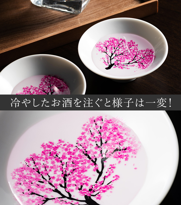 丸モ高木陶器】桜の平盃 ペアセット | 藤巻百貨店
