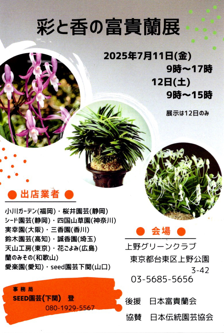 日本富貴蘭会 | 第17回 彩と香の富貴蘭展