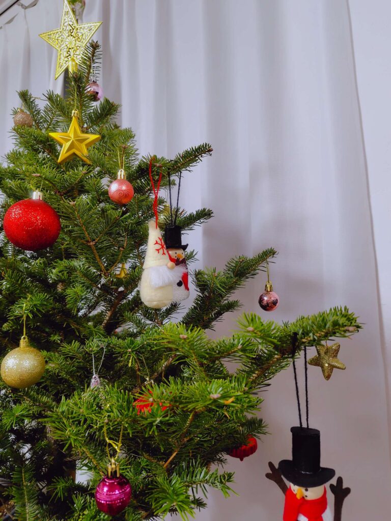 IKEA生モミの木売切れのため、モミの木の鉢植えをお迎え | フルイク