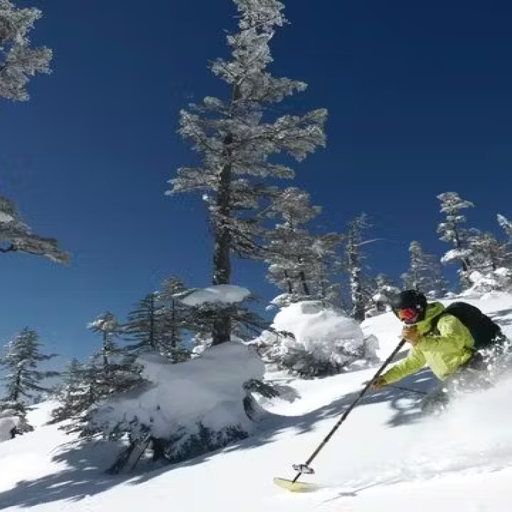 ふるさと納税｜志賀高原マウンテンリゾート 全日利用可 リフト2日券