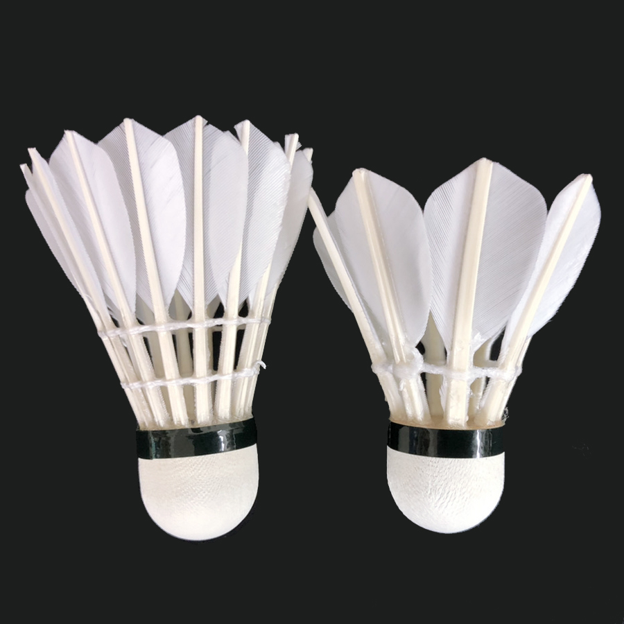 A-WIN ECO8 エコエイト 練習球 8枚羽シャトル 1ダース バドミントン