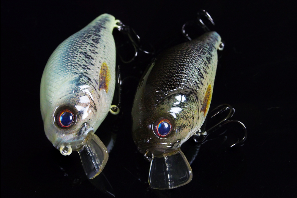 GAN CRAFT | 2025 z-bite-bass