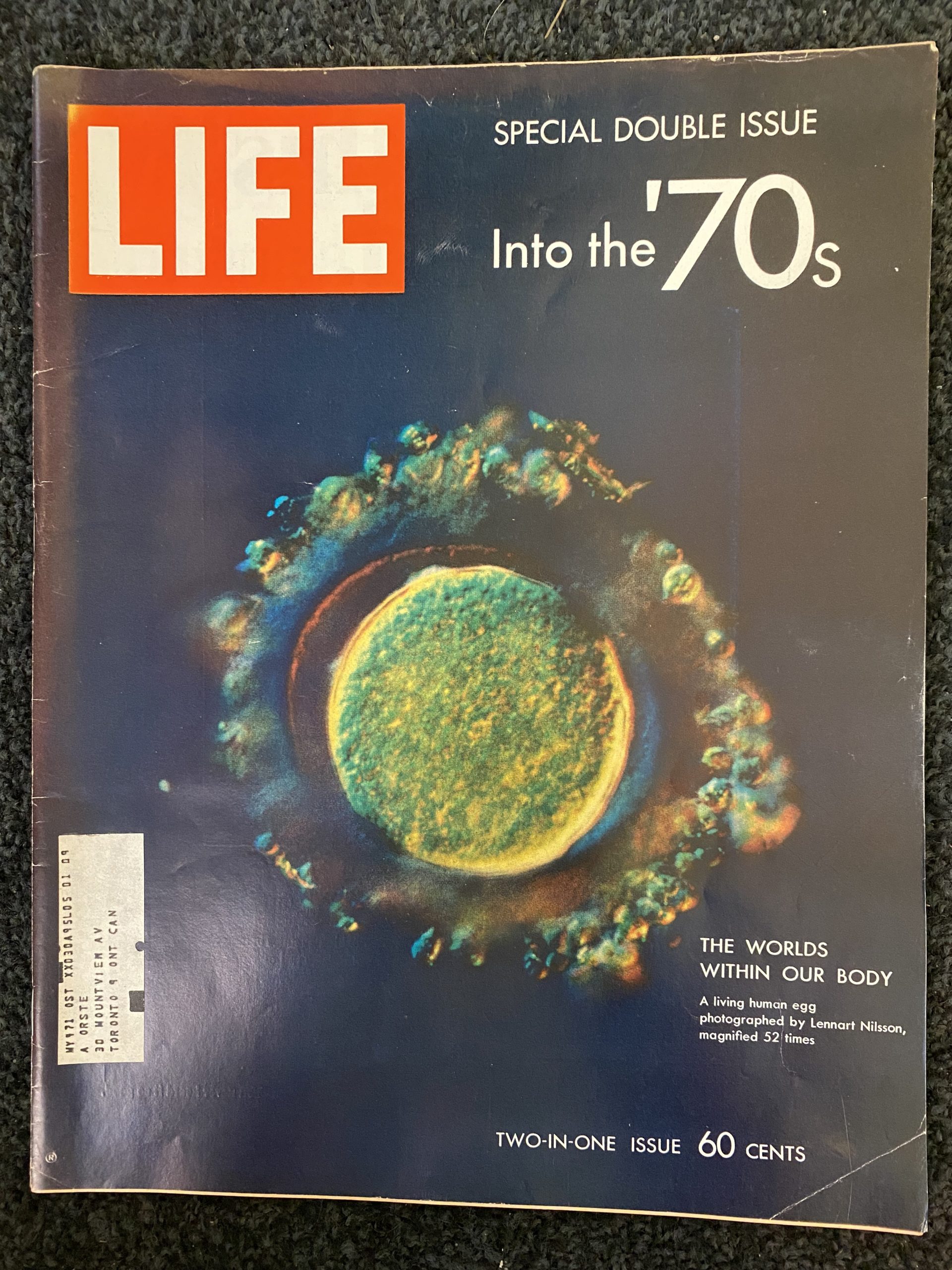 Life Magazine Jan, 1970 Special Double Issue | Gadabout Vintage