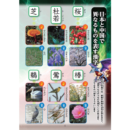 小学生向辞典・事典|新レインボー小学漢字辞典 改訂第6版新装版 小型