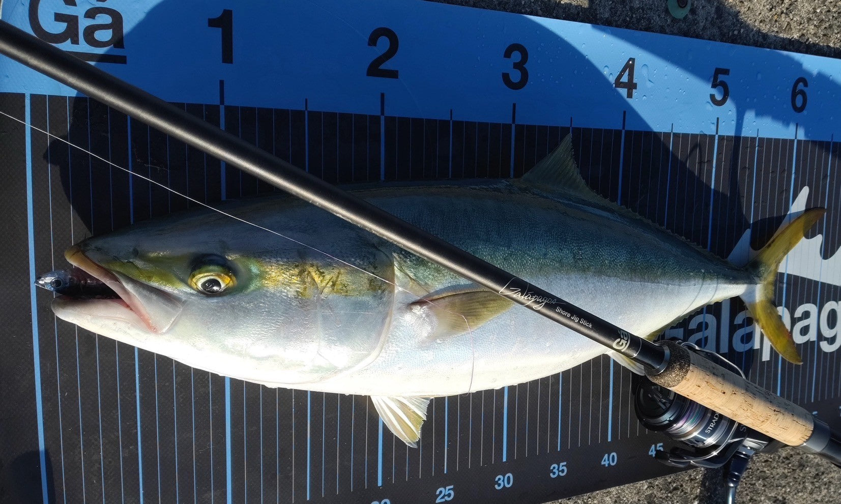 Shore Jig Stick – galapagos-fishing