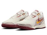 NIKE ZOOM LEBRON NXXT GEN AMPD TYP EP FZ7888 | バスケットボール