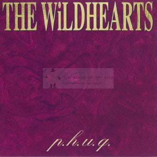 私と音楽 ハードロック編5 The WiLDHEARTS（ザ・ワイルドハーツ