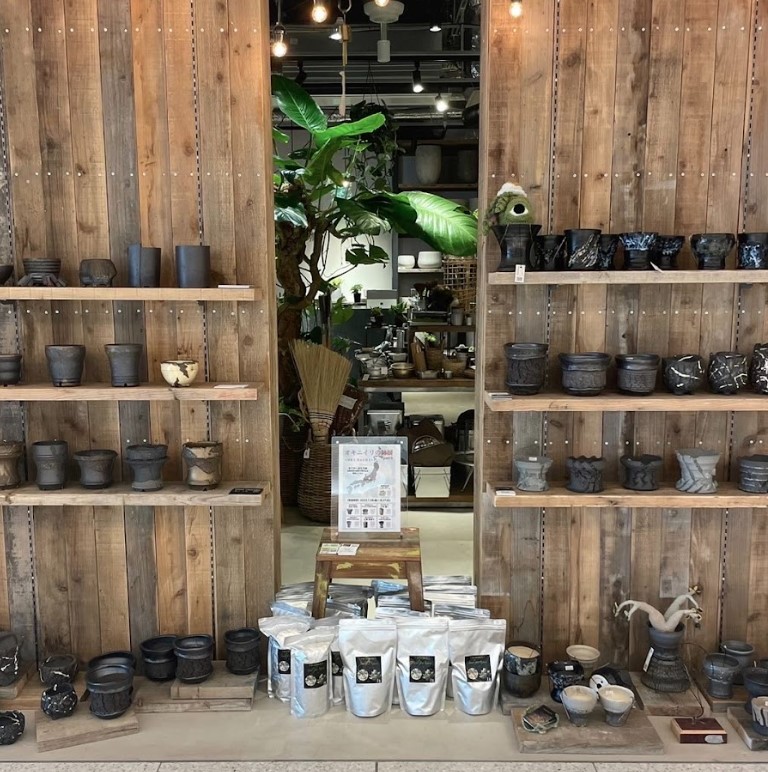 作家の鉢×アガベ POP UP | garage living with plants