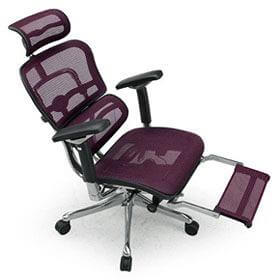 オフィスチェア パソコンチェア エルゴヒューマン プロ 高機能