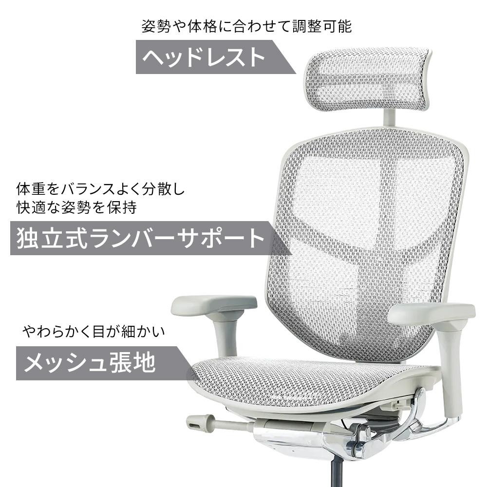 Ergohuman エルゴヒューマン enjoy2 ハイタイプ ヘッドレスト付き